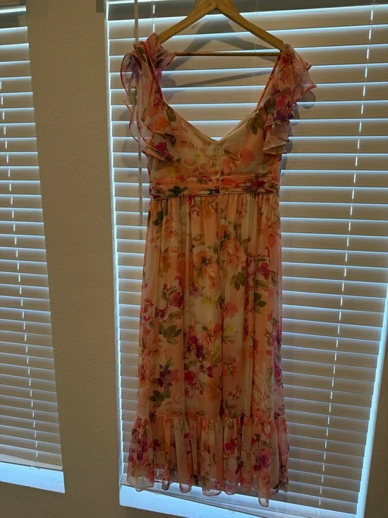 Birdy Grey Soft Blush Ruffle Dress - Picture 2 of 4